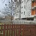 Calea Giulesti 299C, teren 715 mp